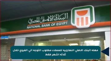 مهلة البنك الأهلي النهائية للعملاء مطلوب التوجه إلى الفروع خلال ثلاثة أشهر فقط